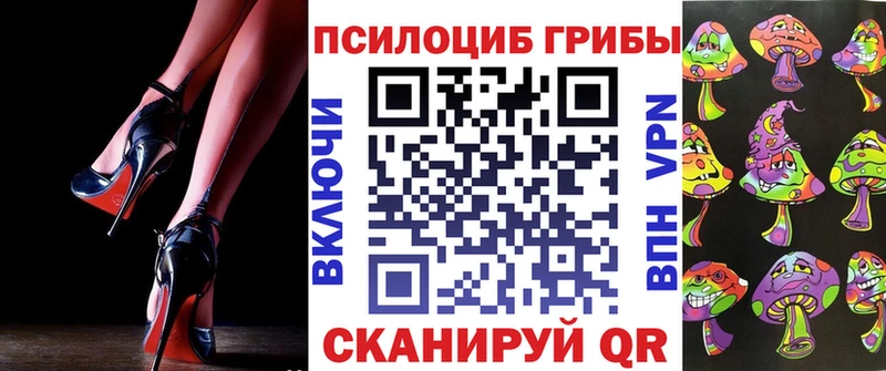 Купить где Кирс Псилоцибиновые грибы MAGIC MUSHROOMS